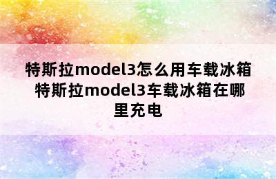 特斯拉model3怎么用车载冰箱 特斯拉model3车载冰箱在哪里充电